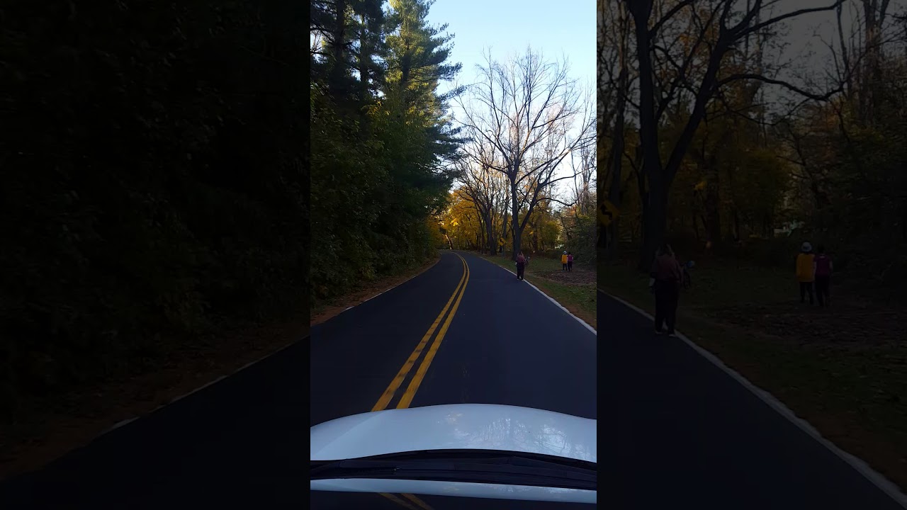 Karakung Drive, November 7, 2020.