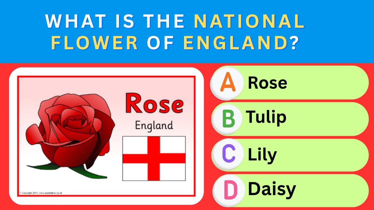 Can You Pass This 30-Question General Knowledge Quiz? 🧠 Test Your IQ and Trivia Skills! 📚