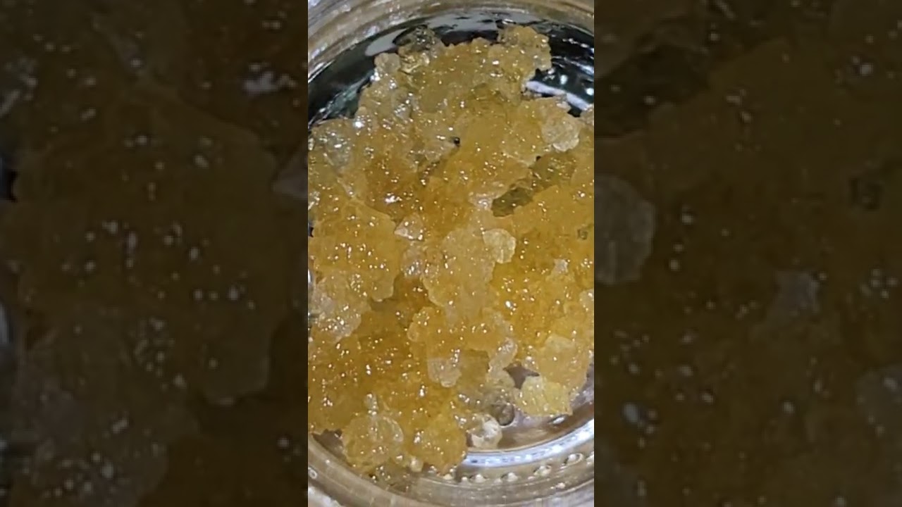 GMUH-OH ( GARLIC COOKIES) ( FORUM COOKIES X CHEMDAWG By CBX ( Cannabiotix)
