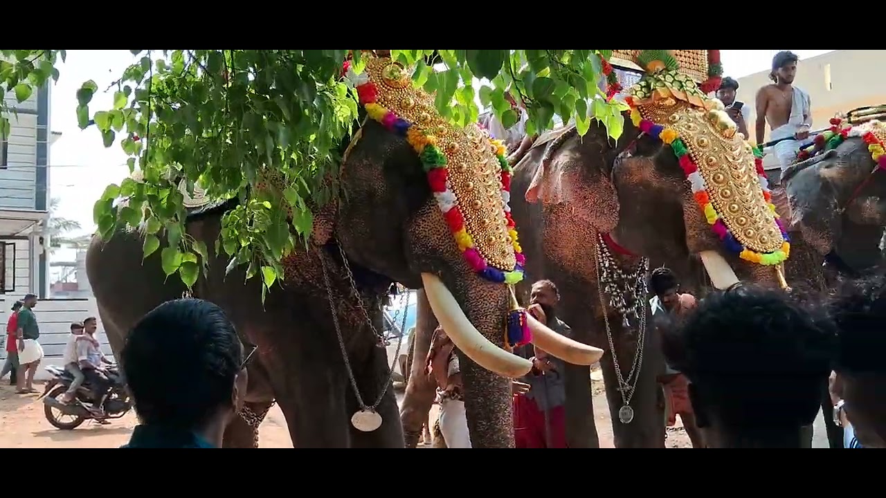 #kallepulli kummatti #hindu #temple #melam #aana #pooram#viral #trending 