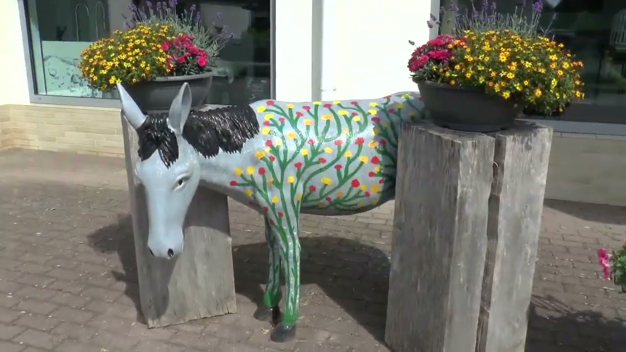 Spaziergang durch Hardegsen und Umgebung