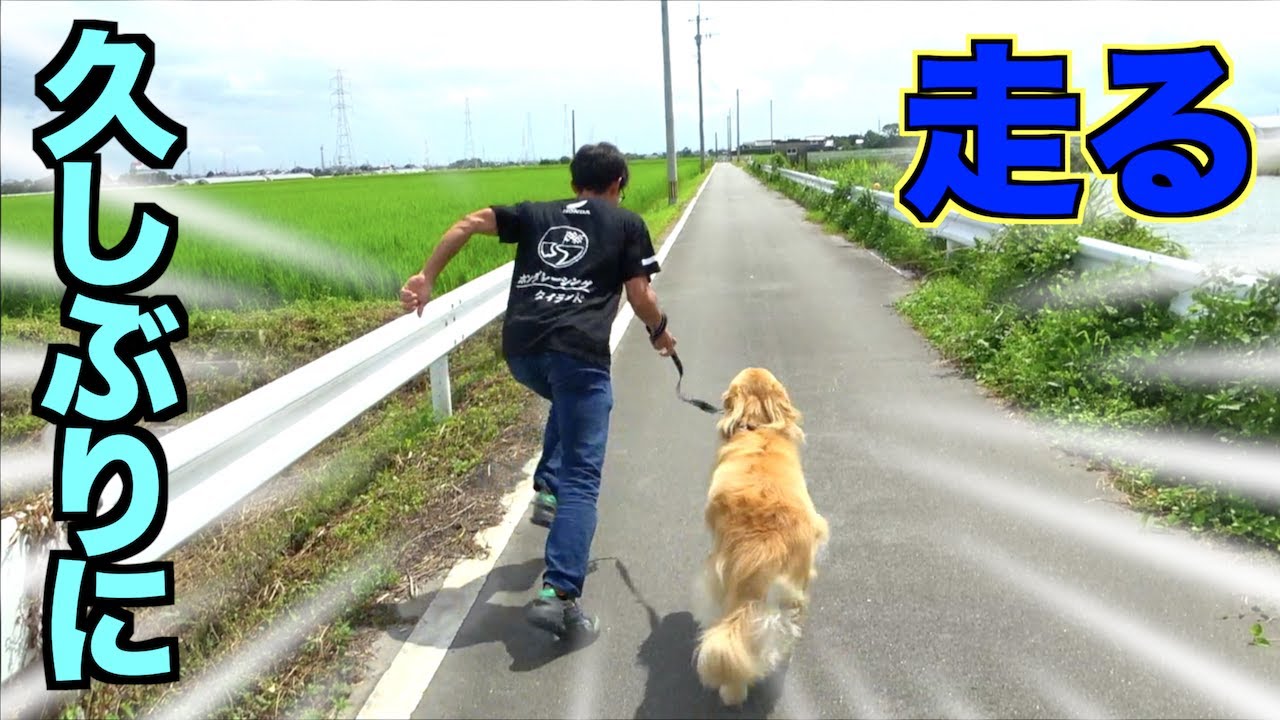 人とゴールデン、本気で走ったらどっちが勝つ！？