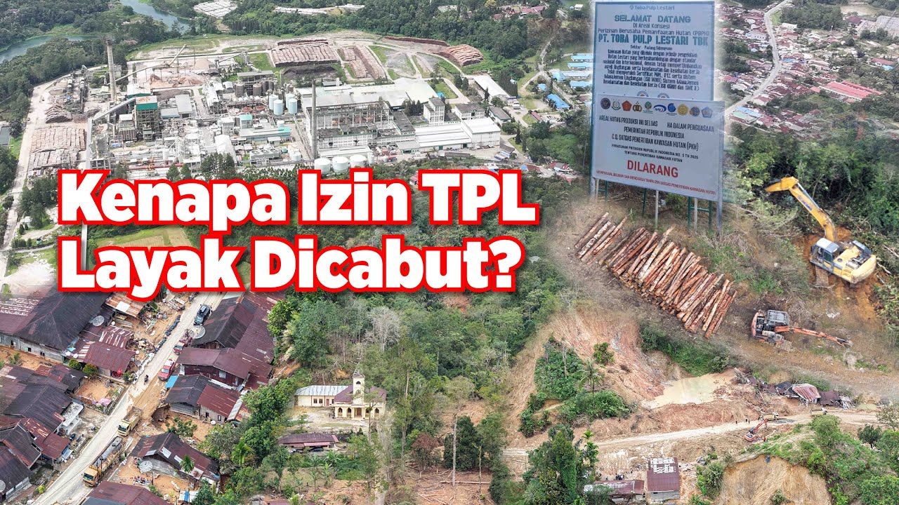 Dugaan Keterhubungan PT Toba Pulp Lestari Dengan Bencana Sumatera