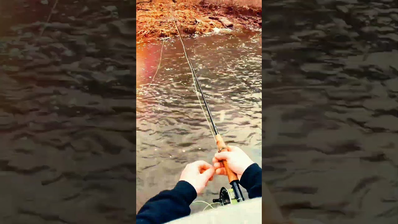 Pickering Creek, PA Delayed Harvest