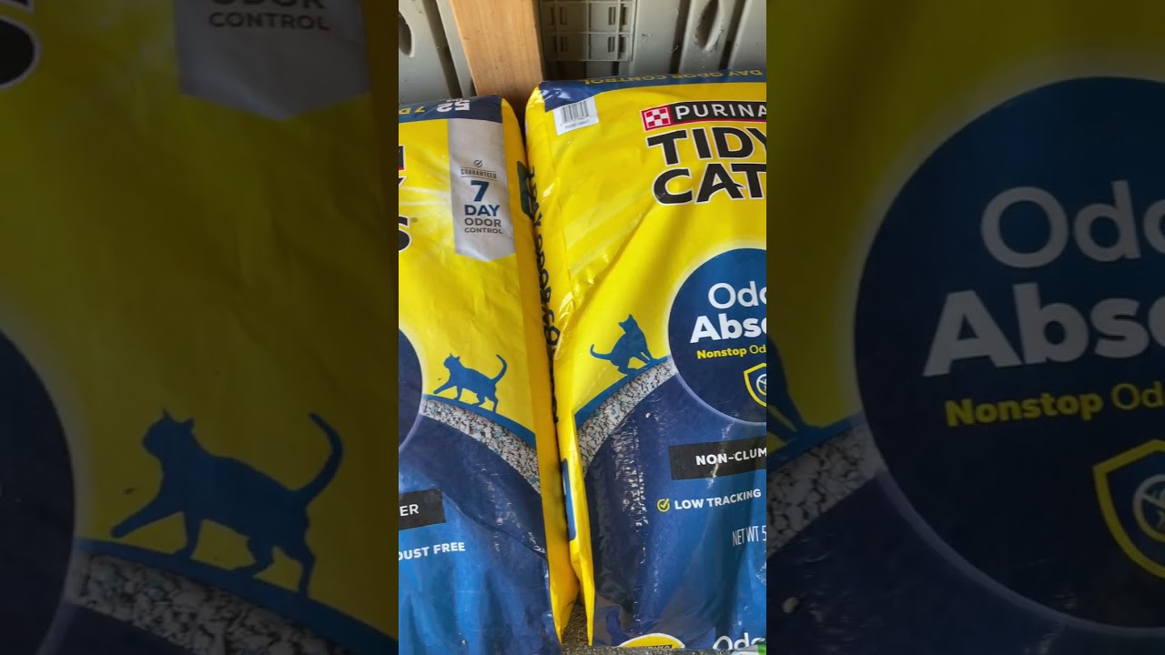 Комкующийся и некомкующийся наполнитель 🧺#catlitter #catshelter #cattips #cattok