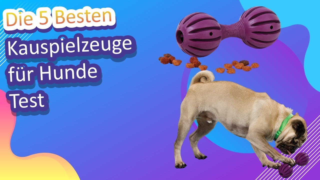 Die 5 Besten Kauspielzeuge für Hunde Test