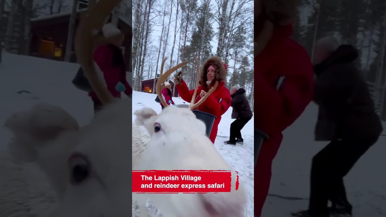 Finland Levi Tours Under 100&euro; per person with Scandinavian Travel Group