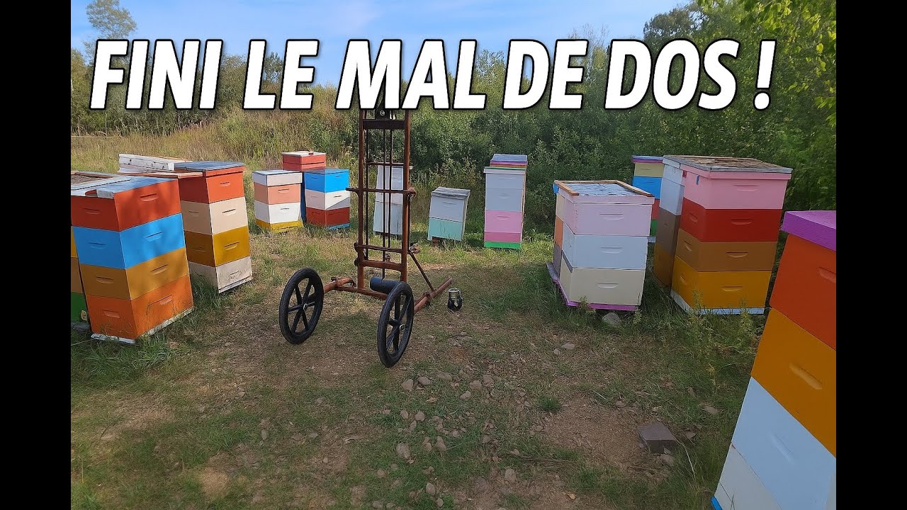 Chasse-abeilles facile grâce à ce chariot maison
