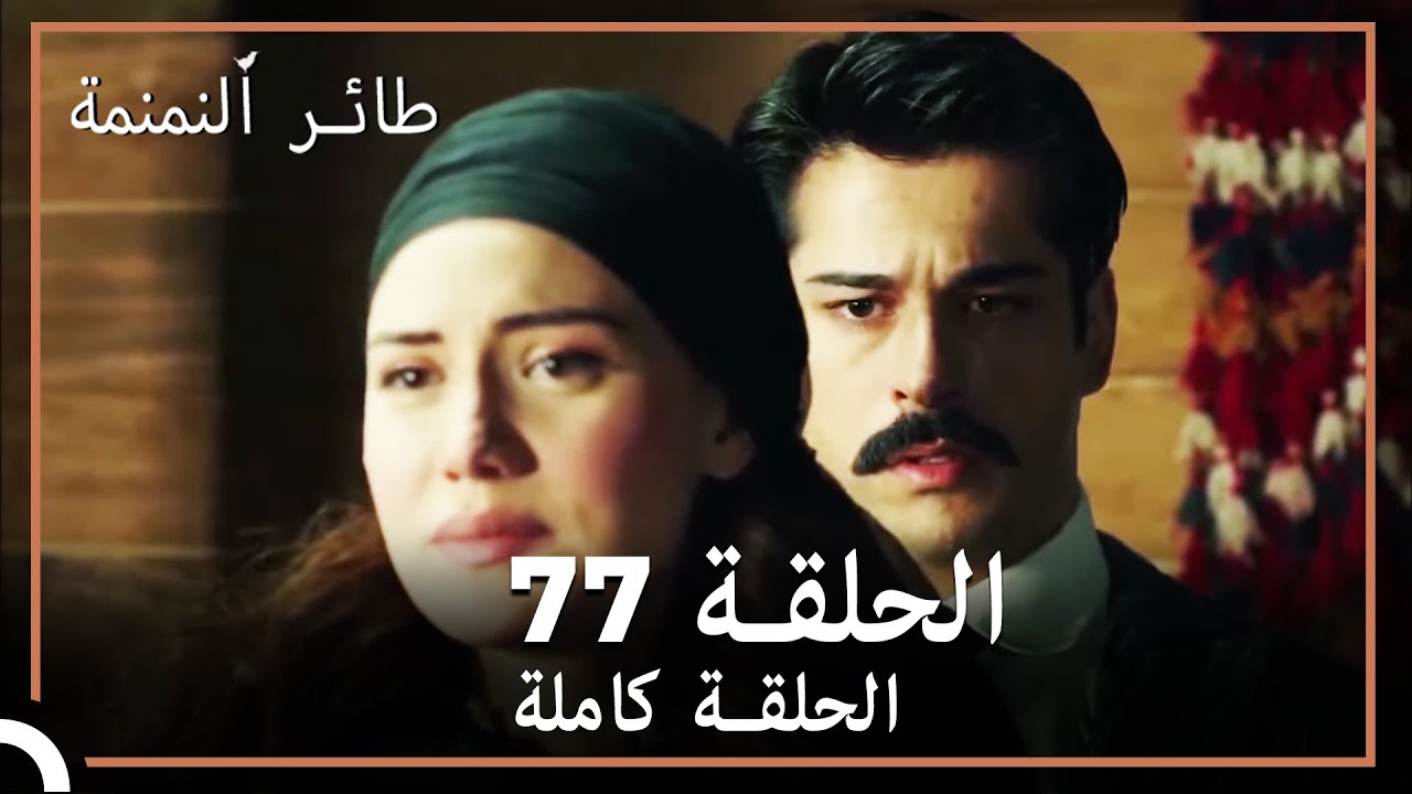 77  طائر النمنمة | الحلقة