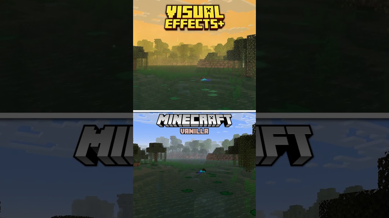 Minecraft Vanilla vs Visual Effects PLUS (JAVA) #shorts