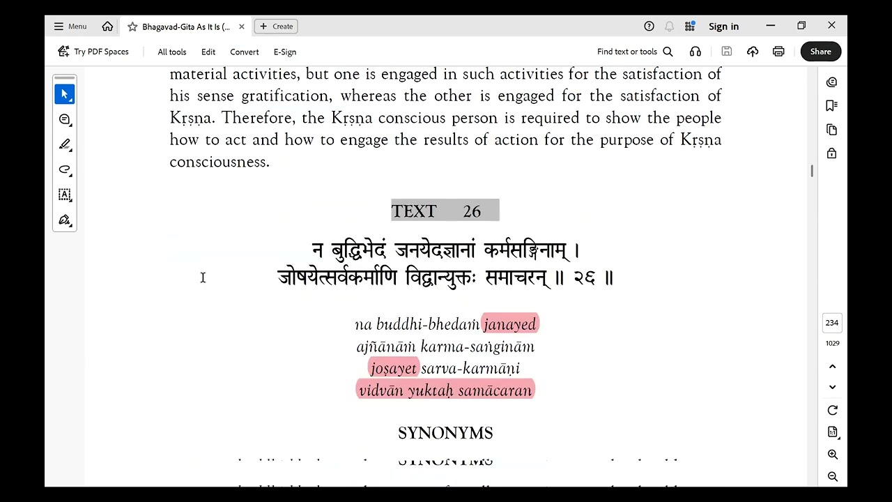 Bhagavad Gita 3.25 - 3.32