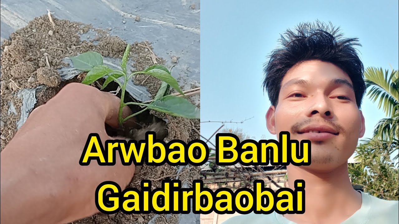 Banlu Gaidirbaobai 🌱🌶️ Ep. 88