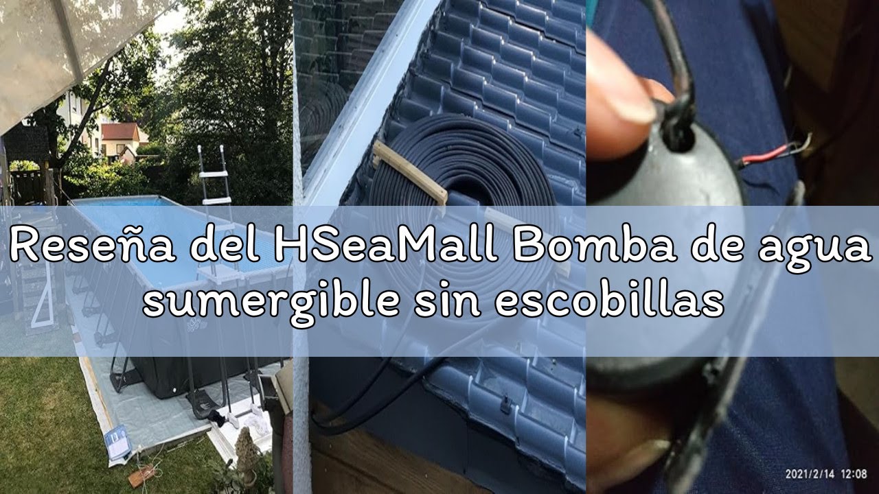 Reseña del HSeaMall Bomba de agua sumergible sin escobillas DC 12V Bomba anfibia 800L / H 5M para el