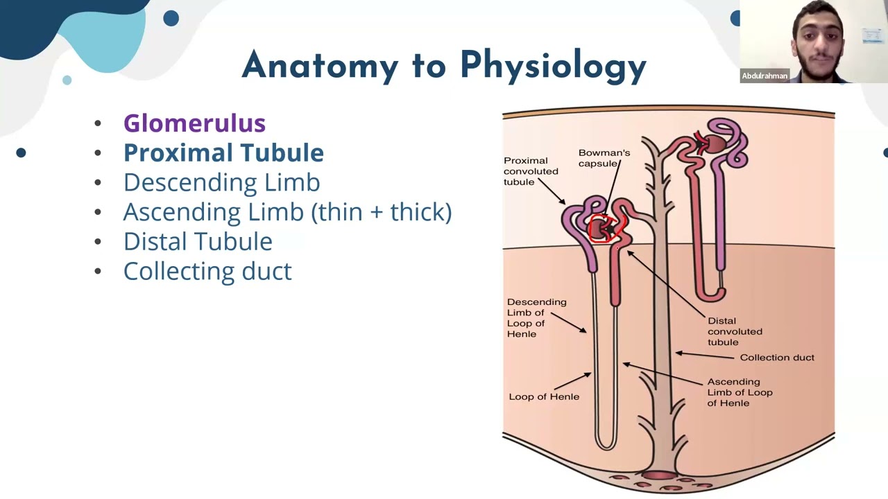 Tubular Functions I & II I Abdulrahman Alabyad I REN 123 PAL review session