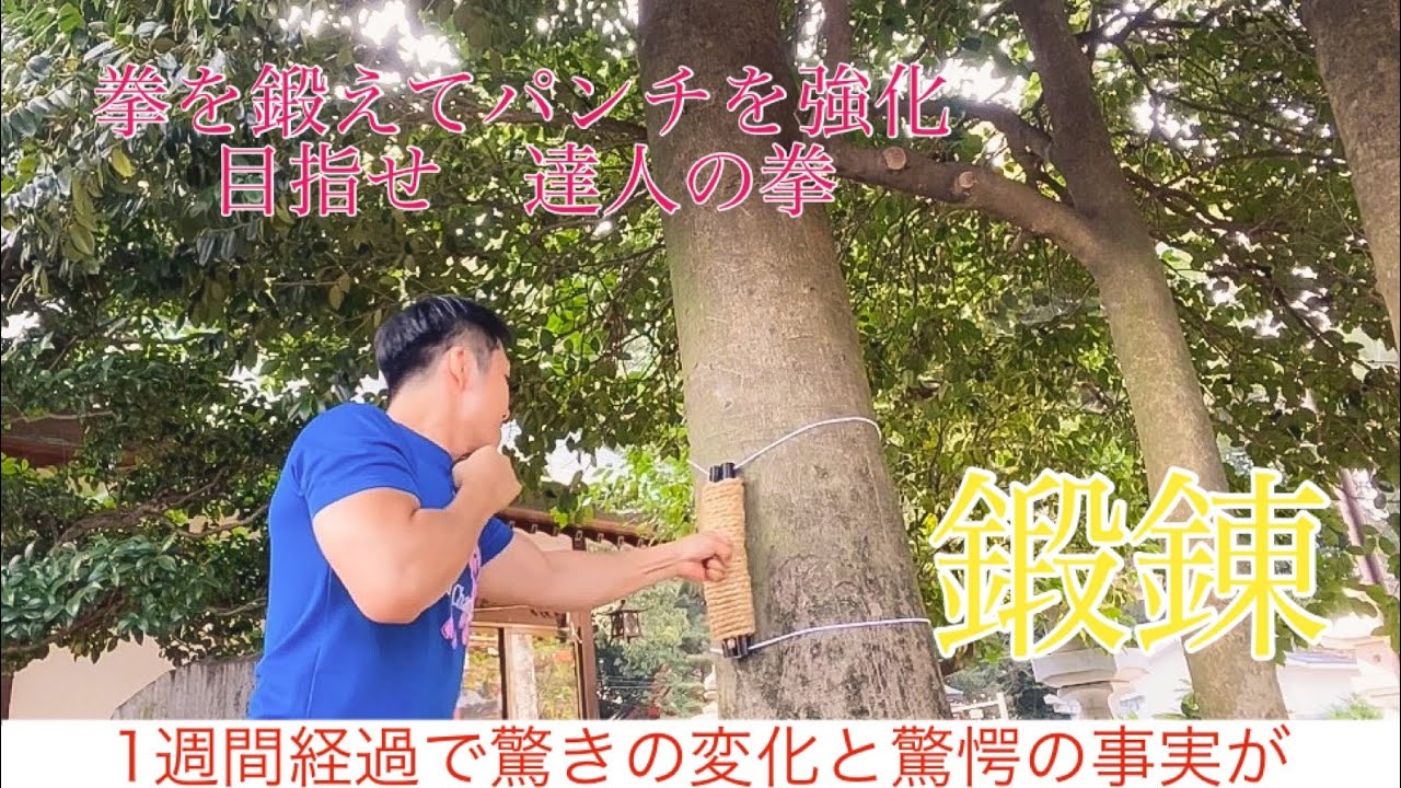 ［鍛錬］拳を鍛えたら達人に近づけるのか