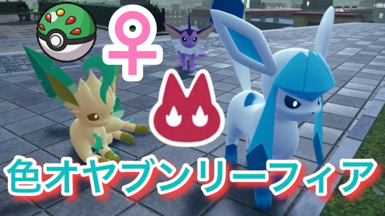 ♀色違いオヤブンリーフィアをフレボで厳選！【ポケモンレジェンズZA】【イーブイの日】