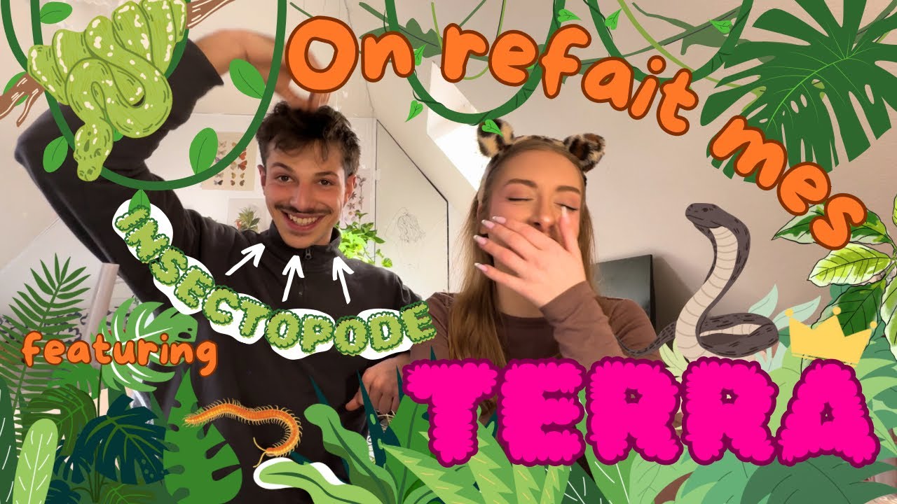COMMENT FAIRE UN PARFAIT TERRARIUM DE PYTHON REGIUS | ft. INSECTOPODE