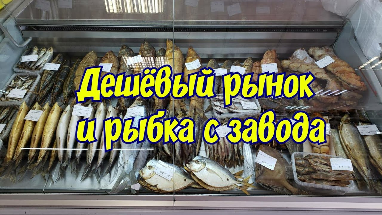 Кучугуры, где купить дешевле? Едем за рыбой и ягодами, Юровский рыбзавод, Старотитаровский рынок