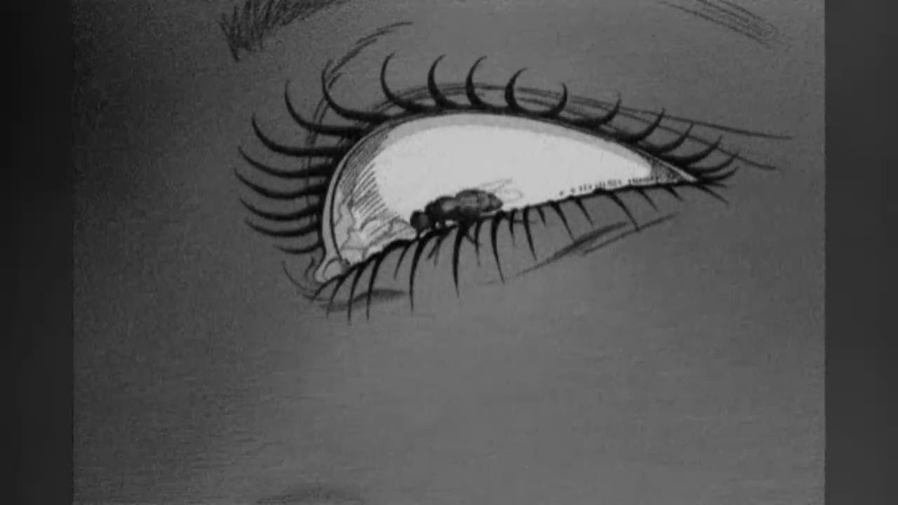 Freddie Dredd - SACRIFICE MYSELF ( slowed + reverb )