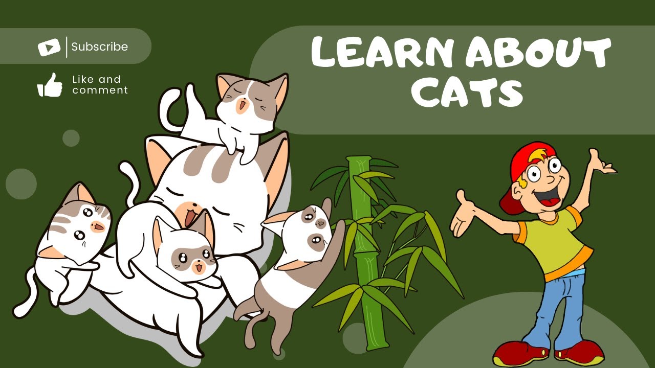 Top 5 Reasons Why Cats Make the Best Pets | Fun Facts About Cats