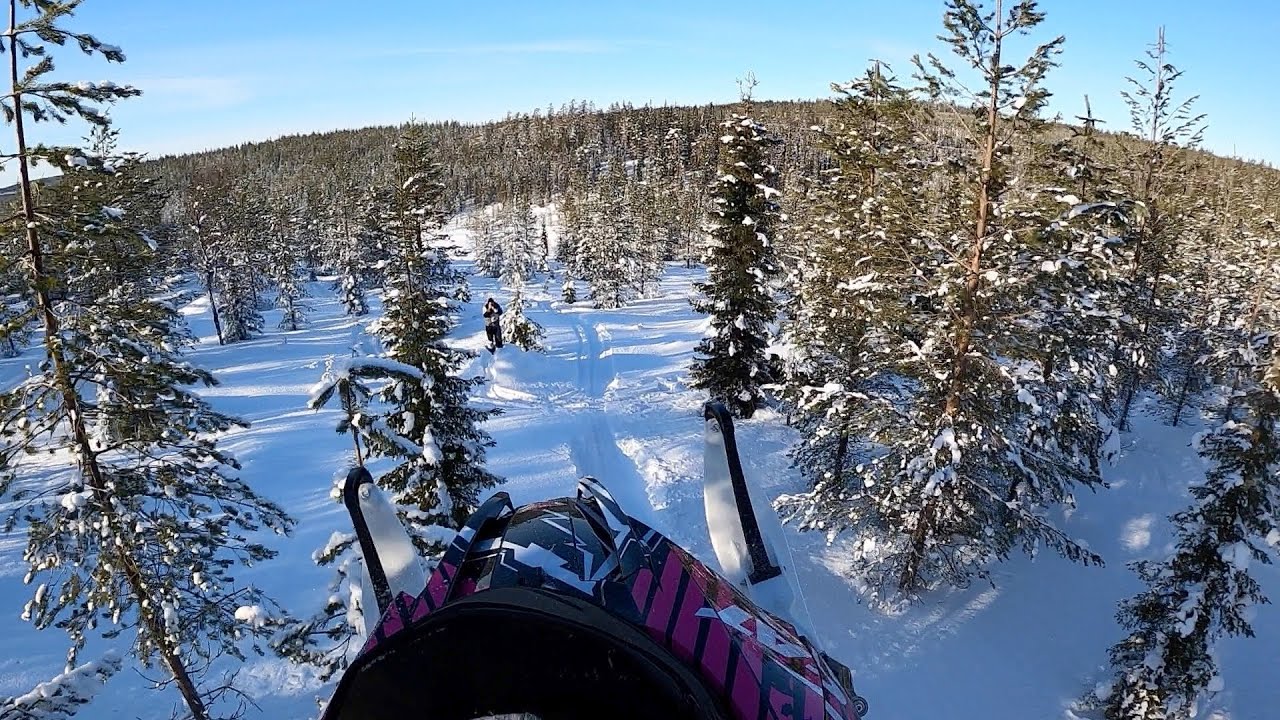 Alpha One 154 Mod. Safari Day | GoPro Hero 8