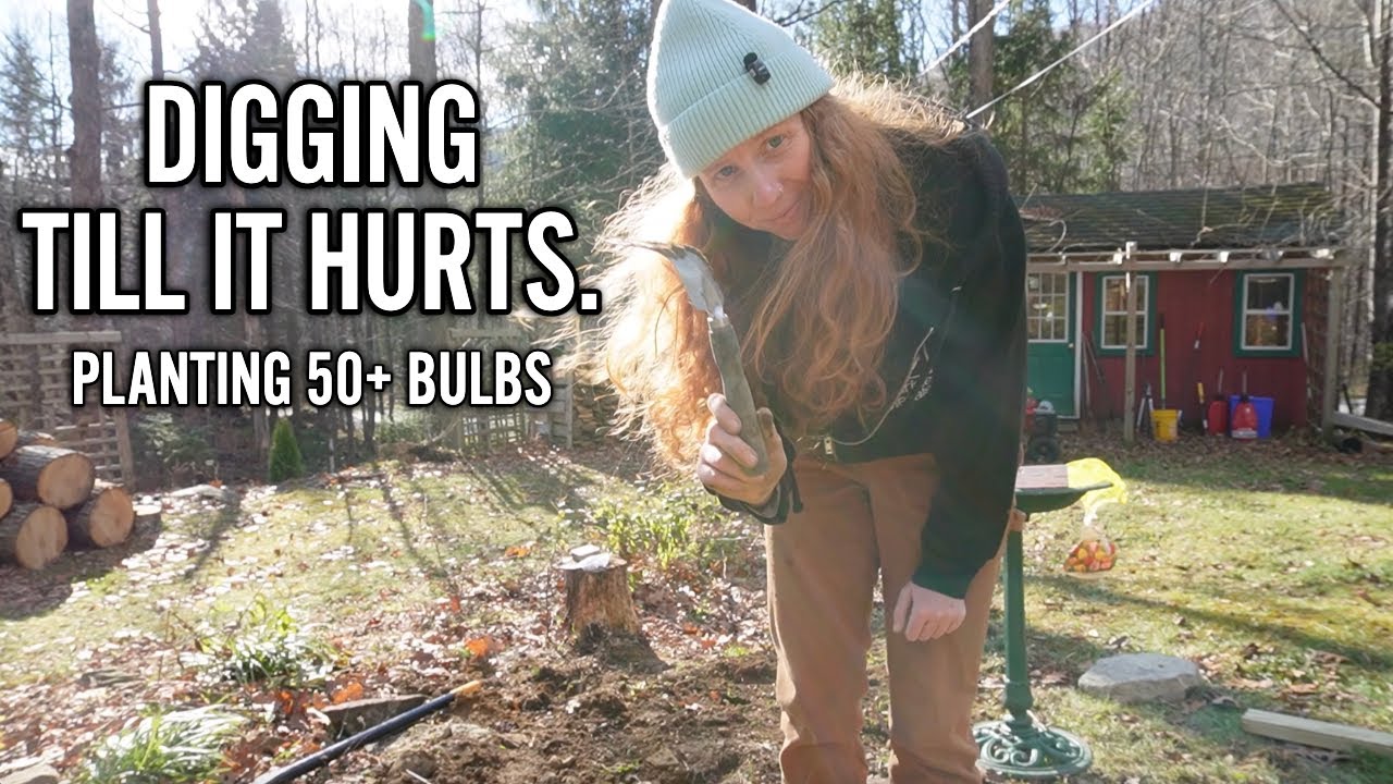Planting 50+ Flower Bulbs Before the Ground Freezes | Slow Country Living