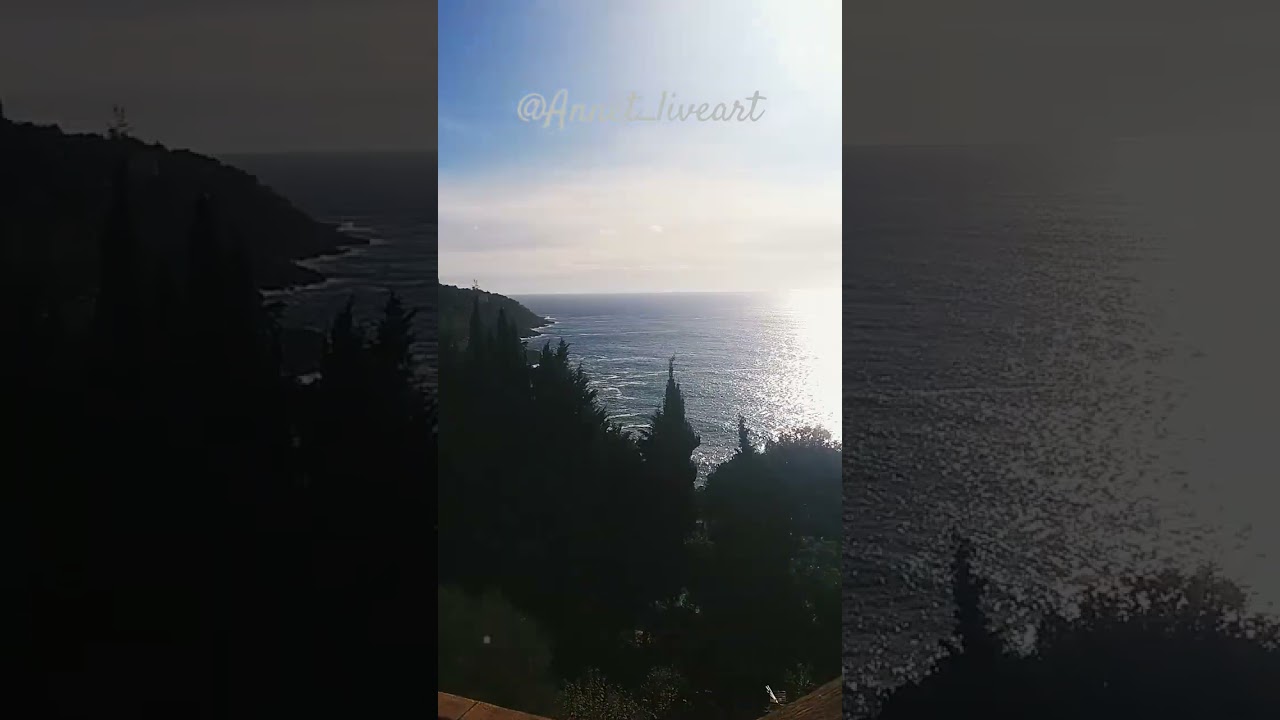 🇮🇩🏰Monte Carlo Дорога домой 