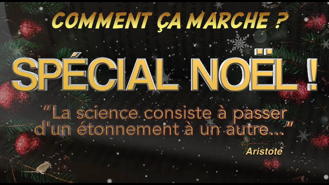 SPÉCIAL NOËL !