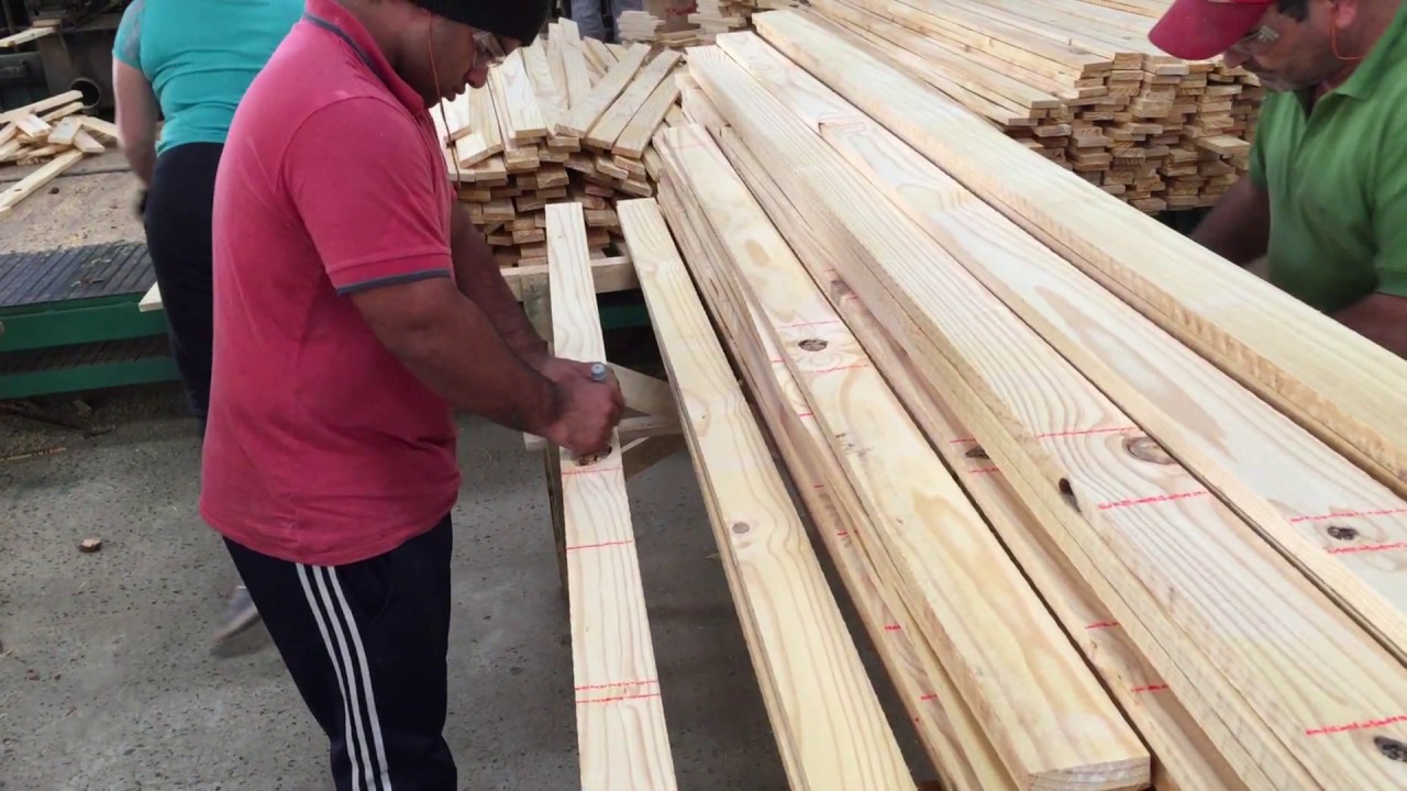 BOTTENE Optimizing Crosscut saw OPTI 599 with marking by chalk