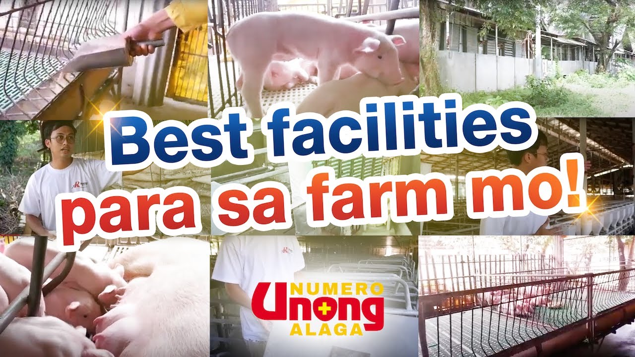 Gabay sa Magandang Farm Facilities | Episode 4