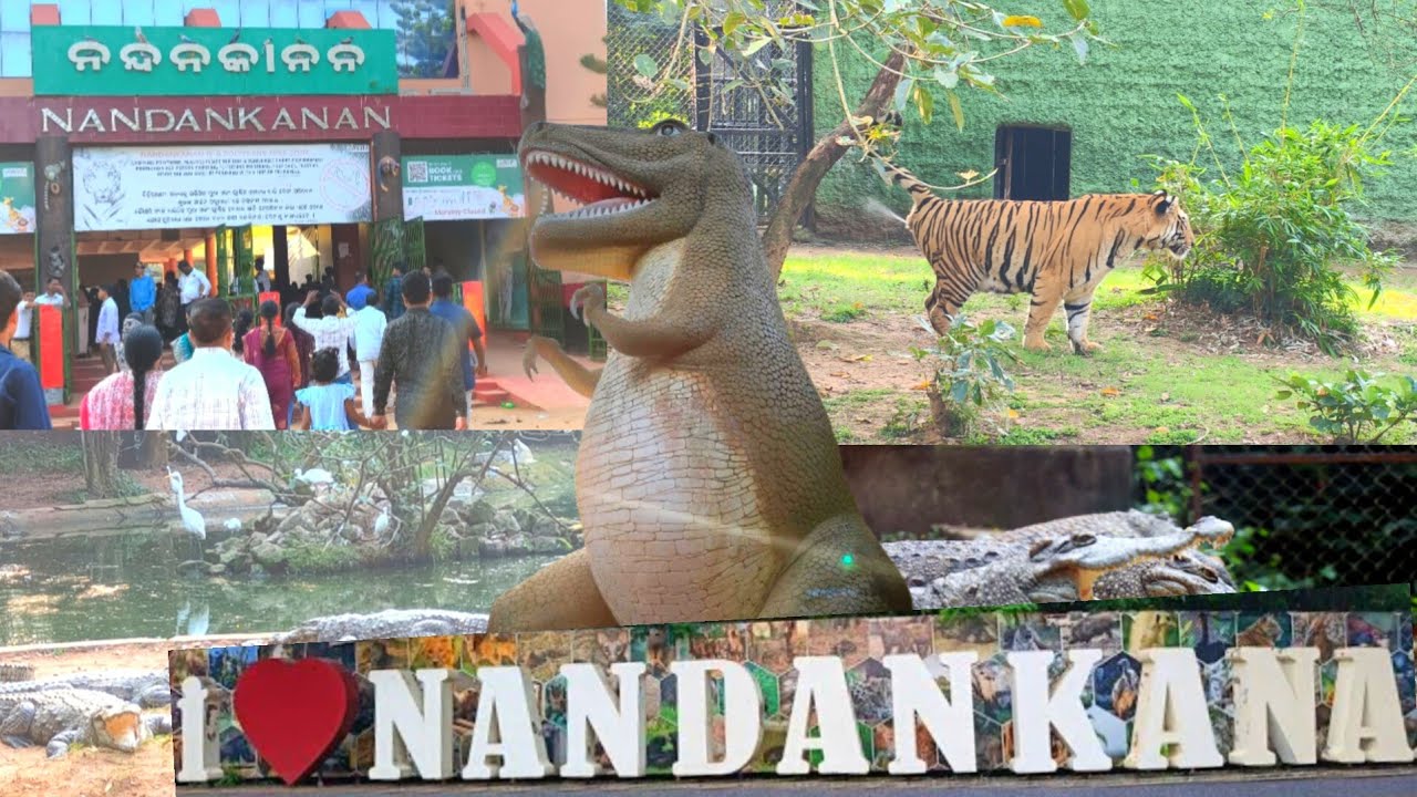 Nandankanan Zoological park In Bhubaneswar 2025 @Sanbarsha-e4z 
