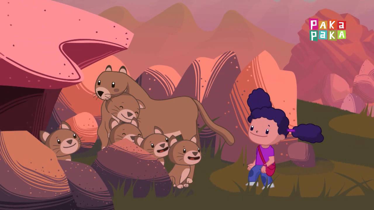 Animales Andinos - Puma - Canal Pakapaka