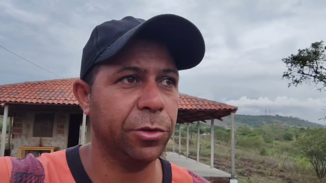 Com a chegada da chuva tudo verdinho na chácara Ribeiro | Josan Ribeiro 