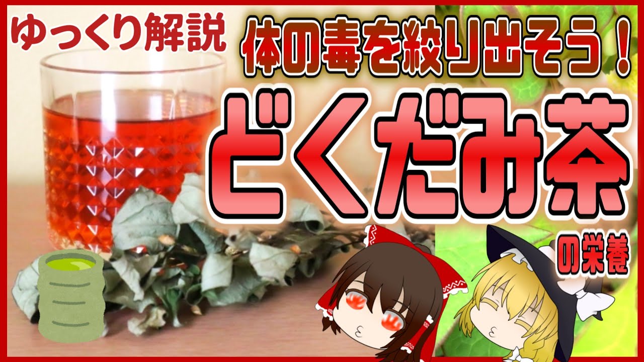 【ゆっくり解説】飲んでデトックス！どくだみ茶の栄養についてゆっくり解説！