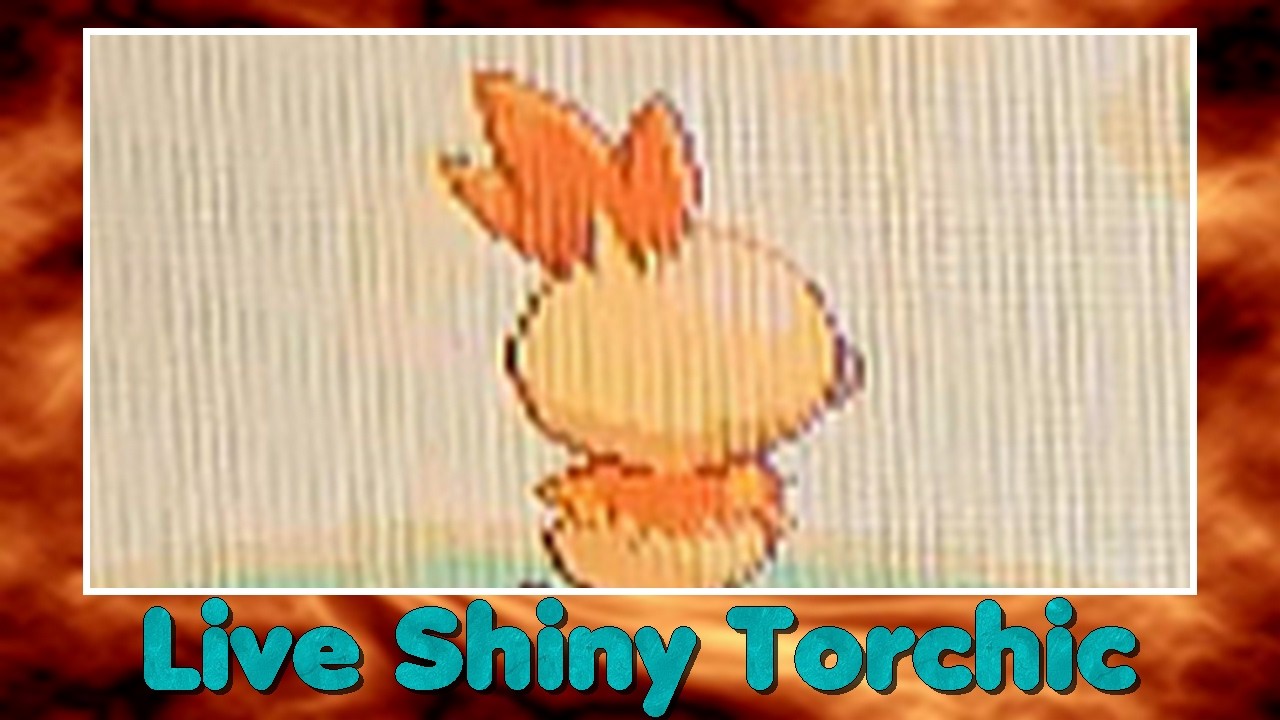 [Live] 1st Shiny Torchic / Poussifeu after 13 758 SR!