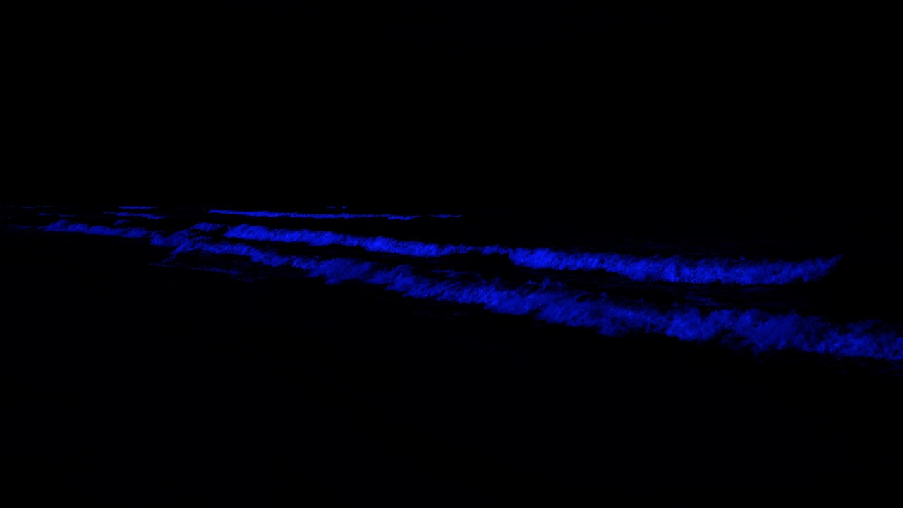 Deep Nervous System Reset For Sleep 😴 Soothing Waves For Anxiety Relief & Mindful Drifting