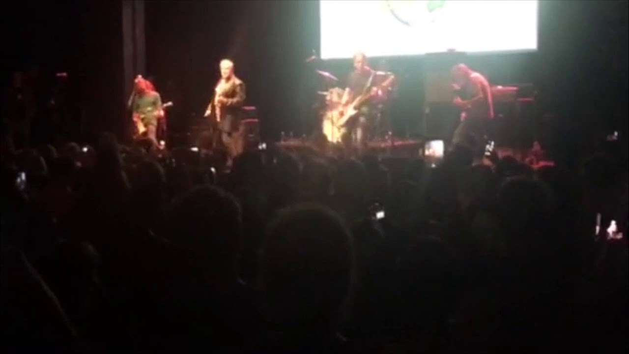 The Celibate Rifles with guest vocalists + Jello Biafra