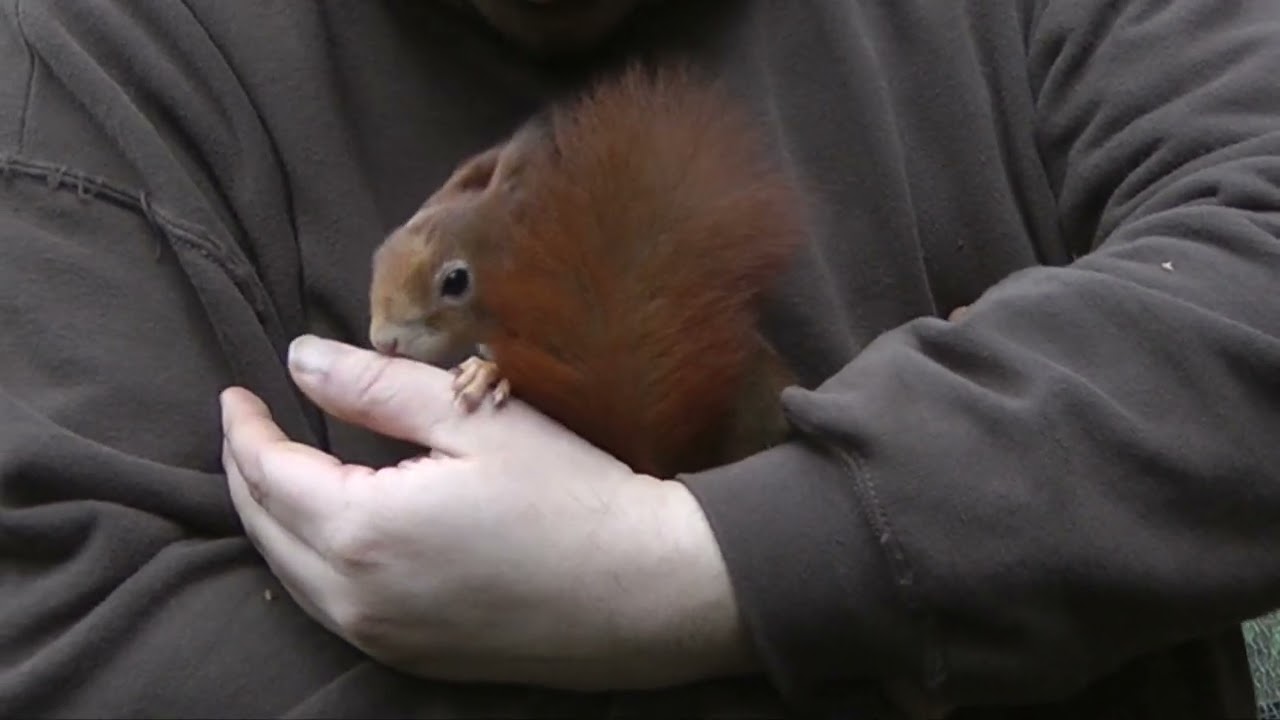 Kuscheln mit Hoppelchen