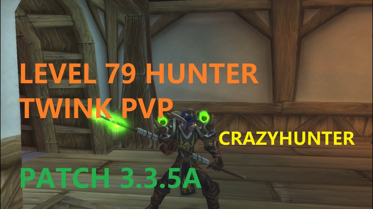 Crazyhunterx - Nivel 79 Cazador Punteria Twink PvP - WOTLK 3.3.5a