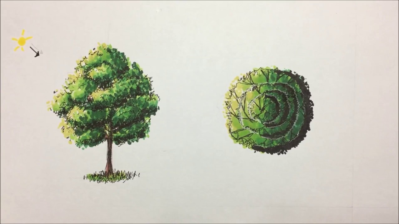 Como dibujar árboles con marcadores (arquitectura) /  How to draw trees with markers (architecture)