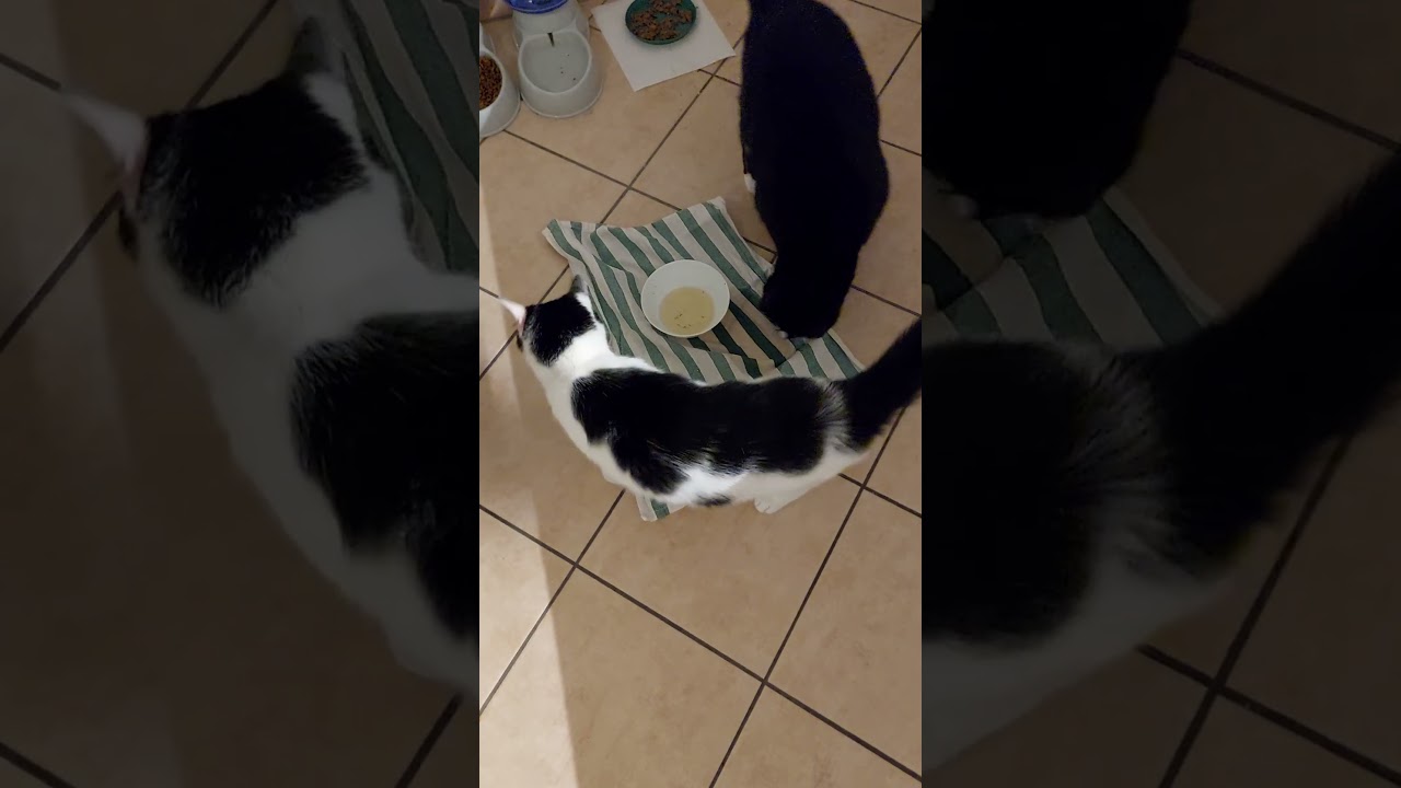 Abends zum Feierabend zieht man sich erstmal einen rein...