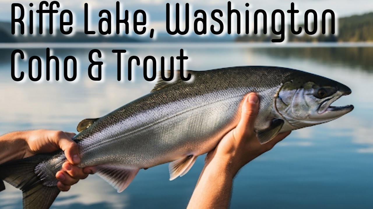 Riffe Lake, Washington - Trout & Landlocked Coho - Erik the Fish Nerd (repost)