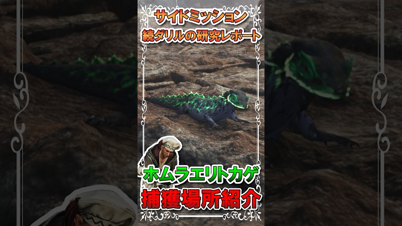 【続ダリルの研究レポート】環境生物ホムラエリトカゲ捕獲！！！