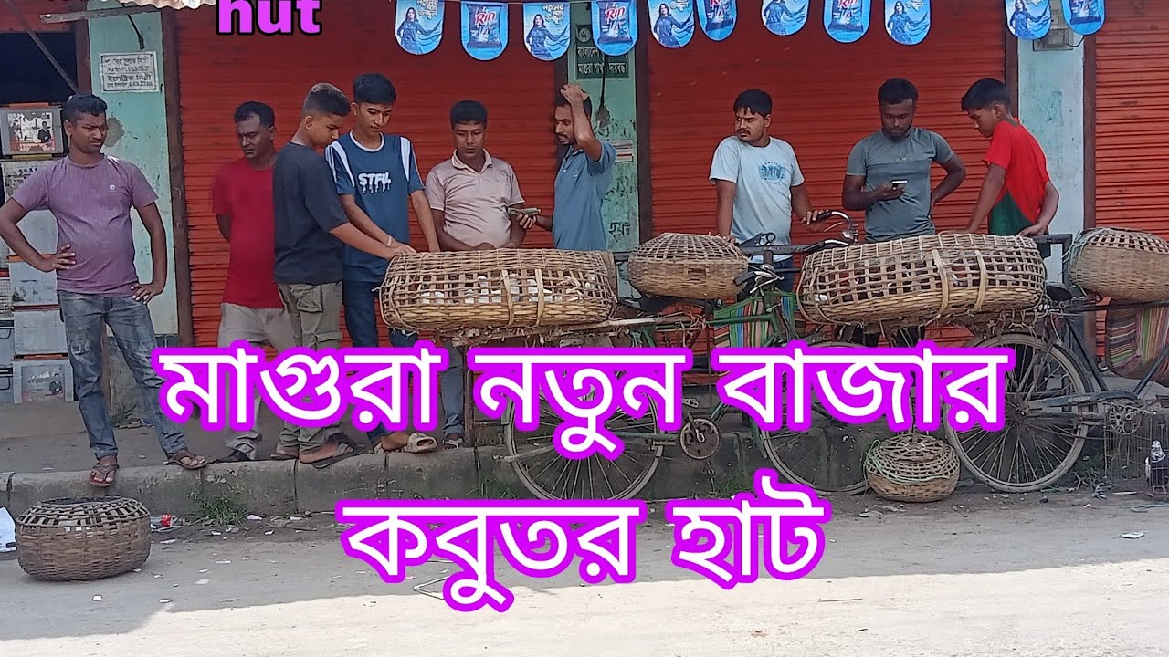 Magura notun bazzair kobuter hut.choncol media👍👍.