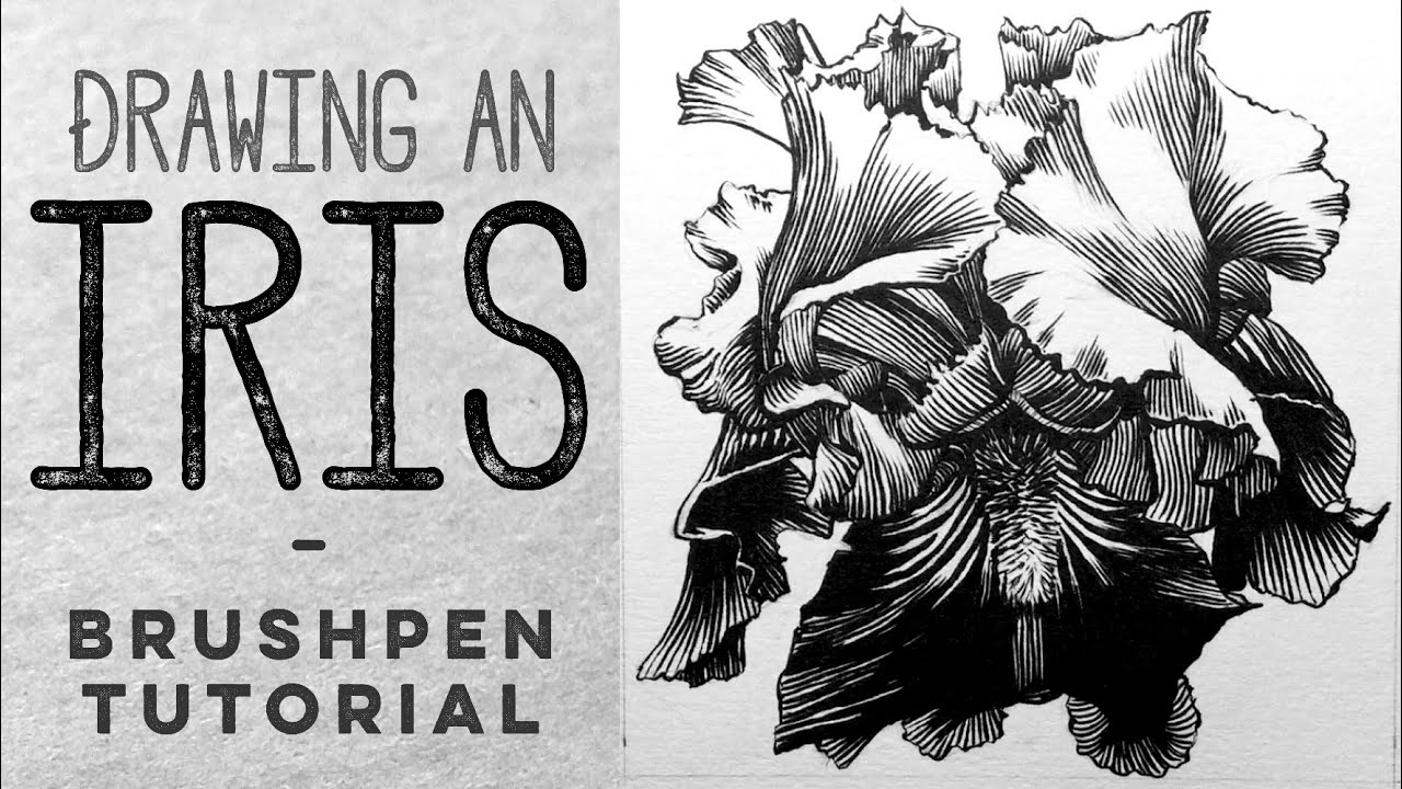 How to draw with a brush pen // Iris inking tutorial and Brush Pen drawing