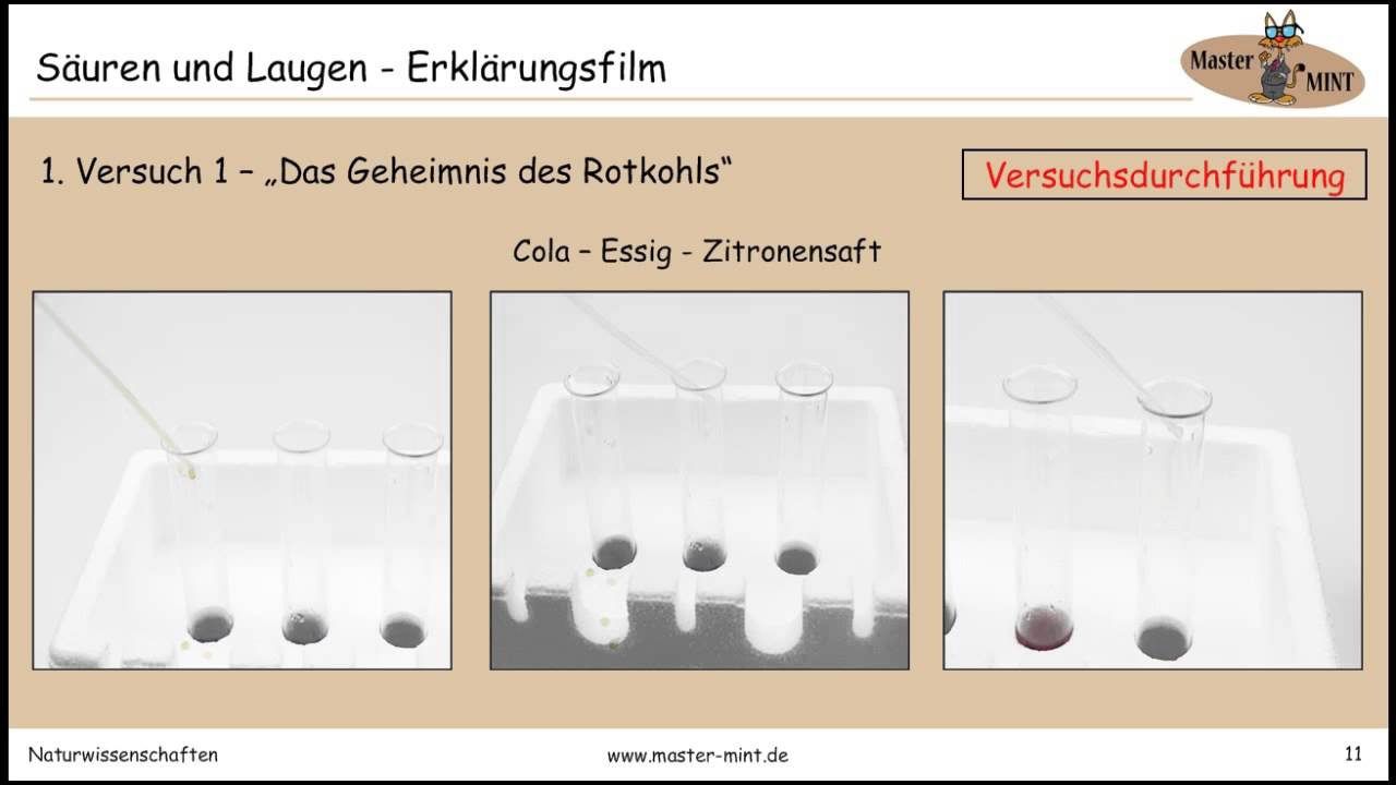 S&auml;uren und Laugen - Erkl&auml;rungsfilm