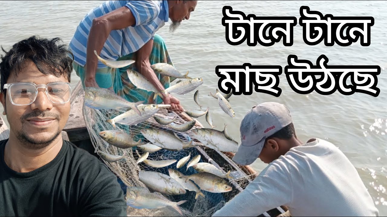 নদীতে ইলিশ ধরতে গিয়ে কি হলো দেখুন || Live Hilsha Fish Catching | Kawsaruddin Sopnil