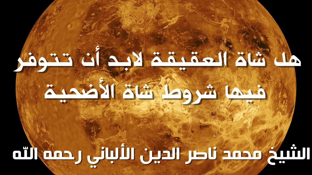 هل شاة العقيقة لابد أن تتوفر فيها شروط شاة الأضحية الشيخ الألباني رحمه الله
