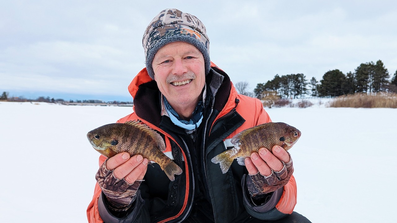 Catching panfish through the ice with the Stingnose