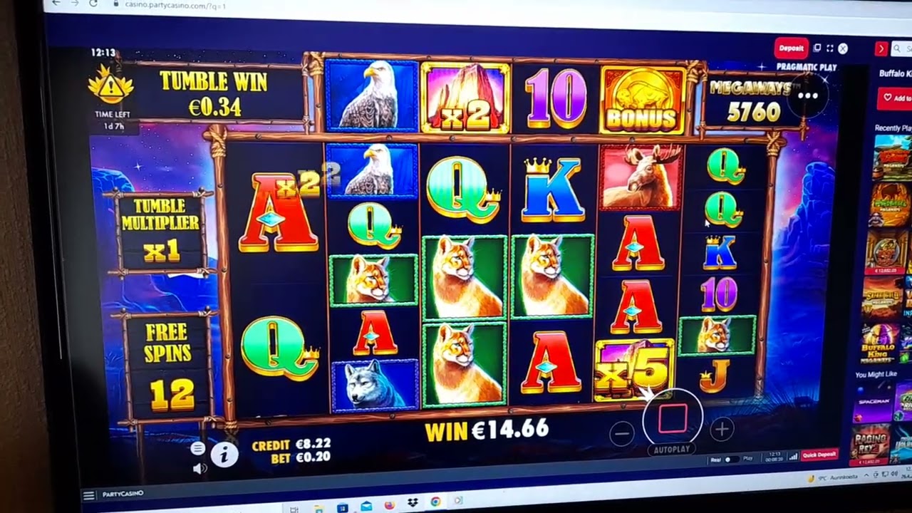 buffalo king megaways big win